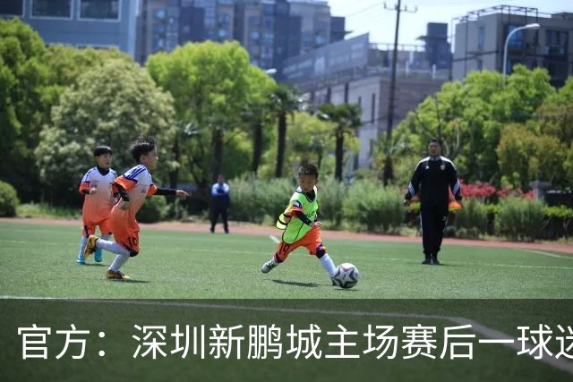 官方：深圳新鹏城主场赛后一球迷从看台跳入场内，深圳赛区被警告