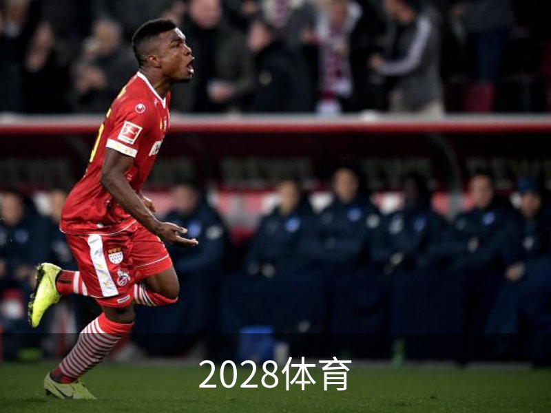 2028体育概况